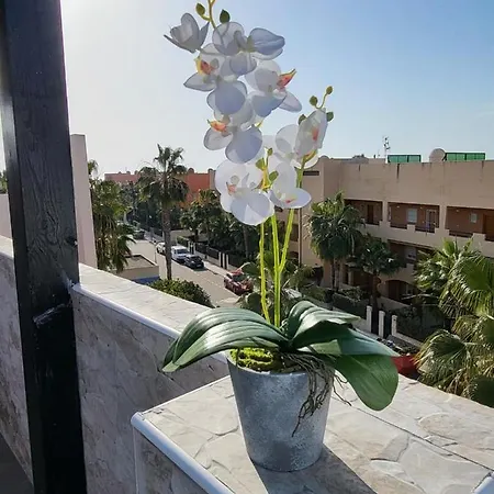 Atico Duplex En Primera Linea Con Piscina Privada!