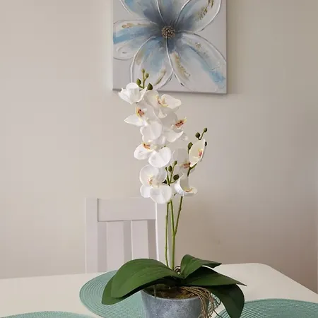 Apartment Atico Duplex En Primera Linea Con Piscina Privada! *