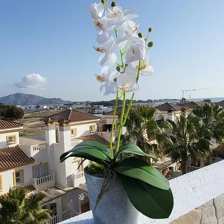 Apartment Atico Duplex En Primera Linea Con Piscina Privada! *