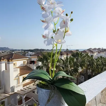 Apartment Atico Duplex En Primera Linea Con Piscina Privada!